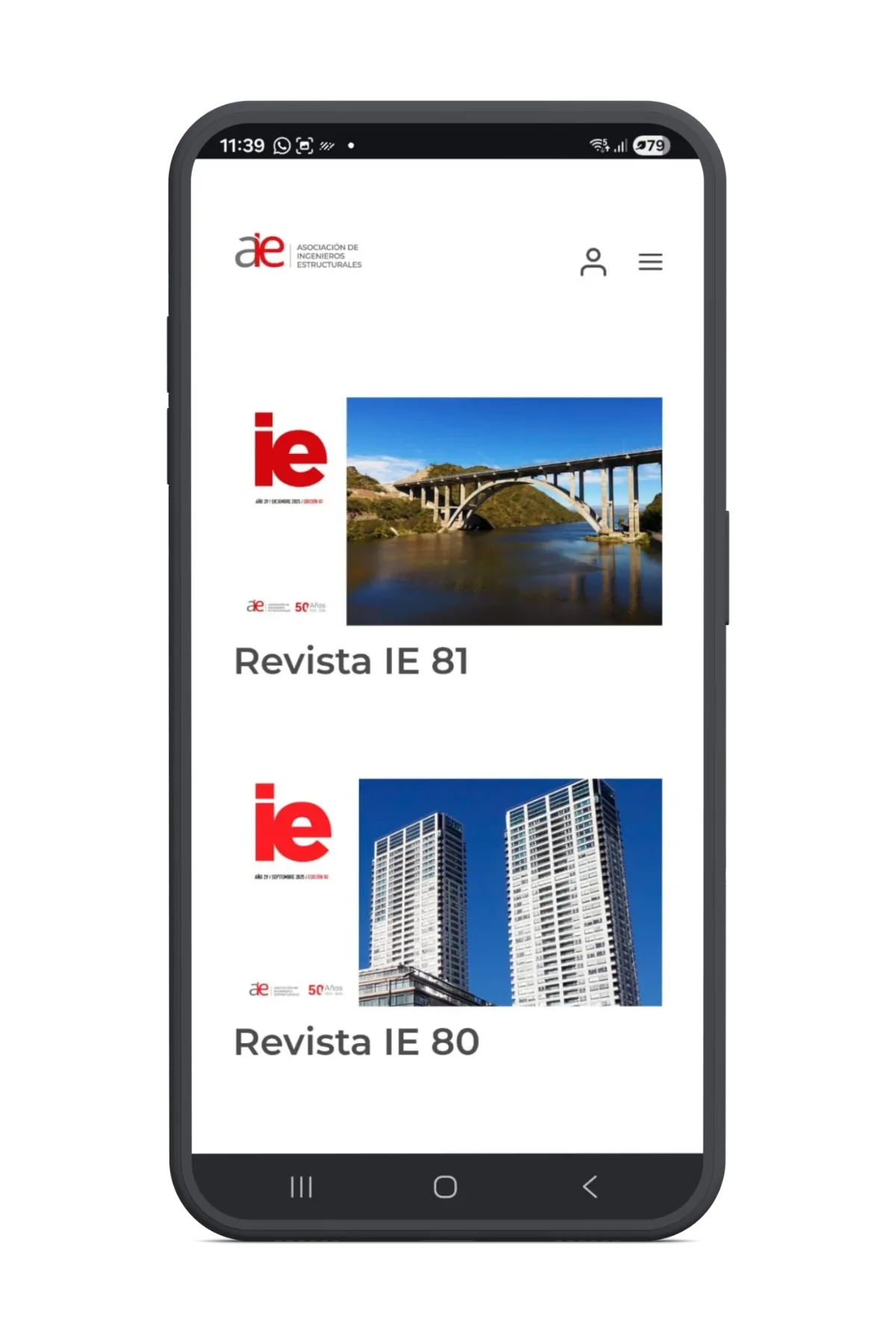 Diseño institucional - AIE